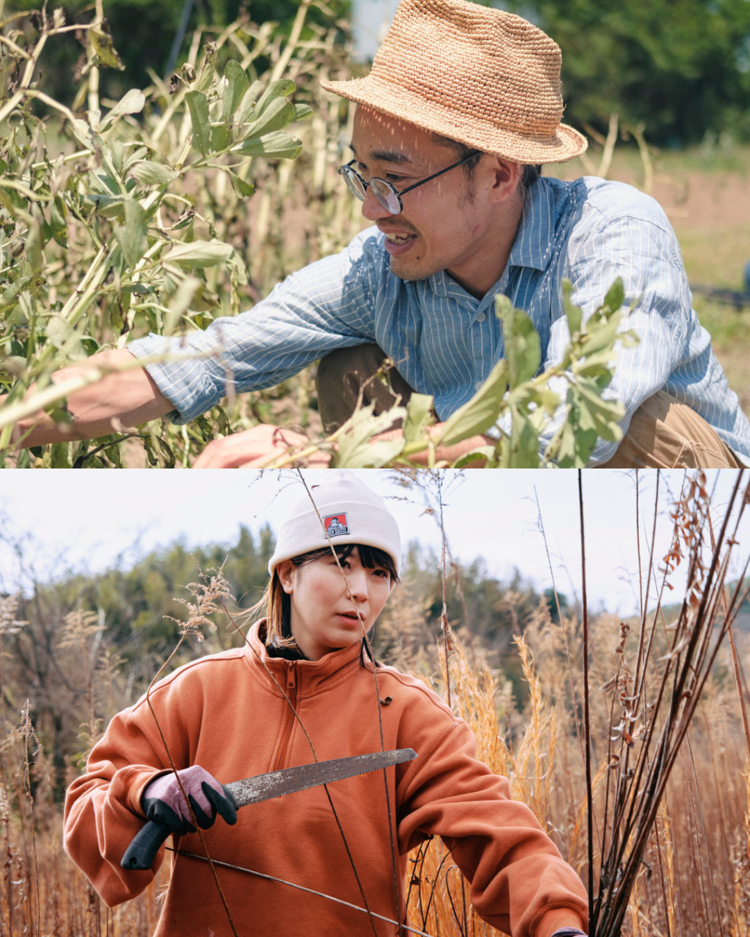 作り手：てしま島苑